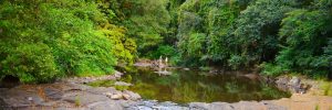 swimming hole